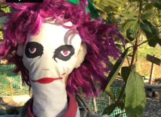 IT’S SCARECROW TIME! Fall Fun Festival on October 10, 2026