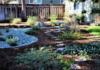 WATER DISTRICTS PARTNER TO OFFER FREE HOMEOWNER LANDSCAPE WORKSHOPS IN NOVEMBER