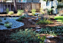 WATER DISTRICTS PARTNER TO OFFER FREE HOMEOWNER LANDSCAPE WORKSHOPS IN NOVEMBER