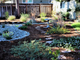 WATER DISTRICTS PARTNER TO OFFER FREE HOMEOWNER LANDSCAPE WORKSHOPS IN NOVEMBER