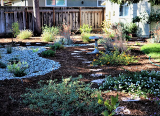 WATER DISTRICTS PARTNER TO OFFER FREE HOMEOWNER LANDSCAPE WORKSHOPS IN NOVEMBER