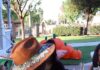 Oceanside Parks & Recreation Halloween Paint & Sip