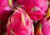 State Street Farmers Market.- Dragon Fruit Has Arrived at the Market