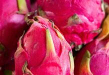 State Street Farmers Market.- Dragon Fruit Has Arrived at the Market