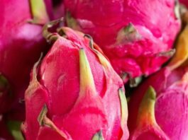 State Street Farmers Market.- Dragon Fruit Has Arrived at the Market