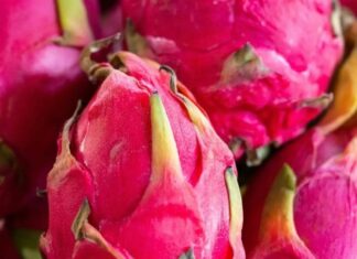 State Street Farmers Market.- Dragon Fruit Has Arrived at the Market