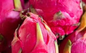 State Street Farmers Market.- Dragon Fruit Has Arrived at the Market