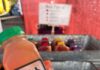 State Street Farmers Market Welcome Fall with Fresh Apple Cider