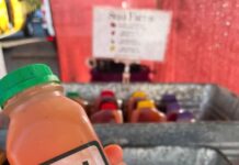 State Street Farmers Market Welcome Fall with Fresh Apple Cider