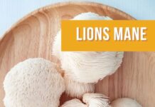 State Street Farmers Market – Mushrooms Make The Market