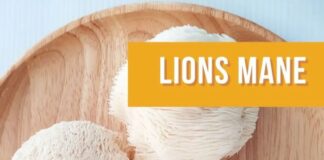 State Street Farmers Market – Mushrooms Make The Market