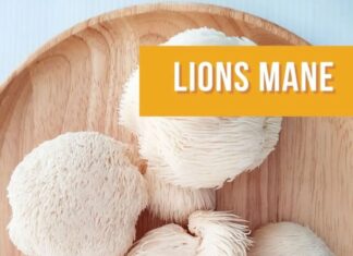 State Street Farmers Market – Mushrooms Make The Market
