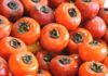 State Street Farmers Market Persimmon Season Has Arrived at the Market