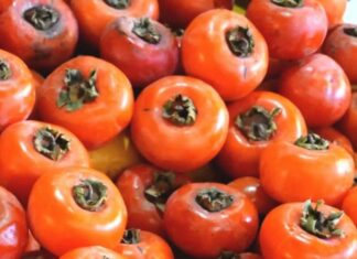 State Street Farmers Market Persimmon Season Has Arrived at the Market