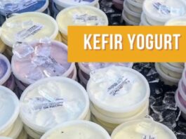 State Street Farmers Market – Cool Market Find for a Hot September Day