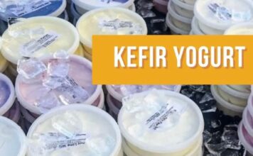 State Street Farmers Market – Cool Market Find for a Hot September Day