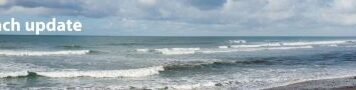 Carlsbad City Manager’s Update: Oct. 22- Beach update and More