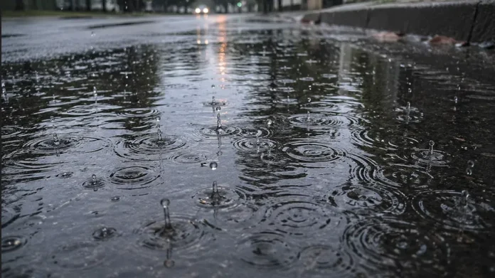 48ba0b5c-e6c4-40e2-9e24-d6d6b749e8e2-Raindropsonastreet