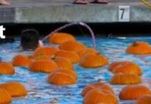 News from the City of Carlsbad Halloween Season and More
