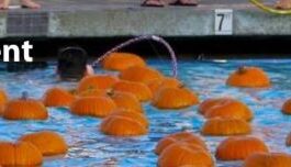 News from the City of Carlsbad Halloween Season and More