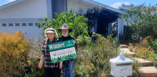 Trio of Landscape Makeovers Named 2026 Vallecitos Contest Winners