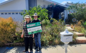 Trio of Landscape Makeovers Named 2026 Vallecitos Contest Winners