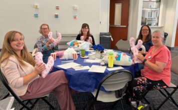 Comfort Pillows Created With Love By The Woman’s Club of Vista Members