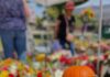 State Street Farmers Market – Fall Favorites Are Filling the Farmers Market