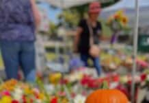 State Street Farmers Market – Fall Favorites Are Filling the Farmers Market