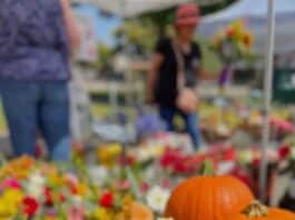 State Street Farmers Market – Fall Favorites Are Filling the Farmers Market