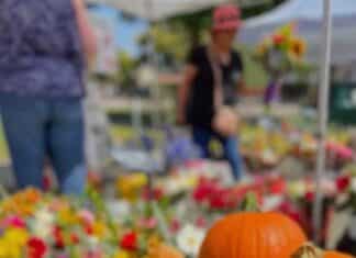 State Street Farmers Market – Fall Favorites Are Filling the Farmers Market
