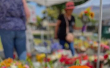 State Street Farmers Market – Fall Favorites Are Filling the Farmers Market