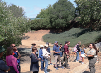 San Marcos Parks & Recreation Trail Talk Creatures of the Dark: Halloween Edition SATURDAY