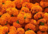 State Street Farmers Market Get Halloween Ready