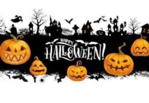 Daily Star Halloween Trivia for a Spooky Good Time