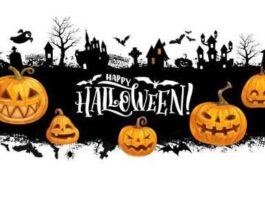 Daily Star Halloween Trivia for a Spooky Good Time